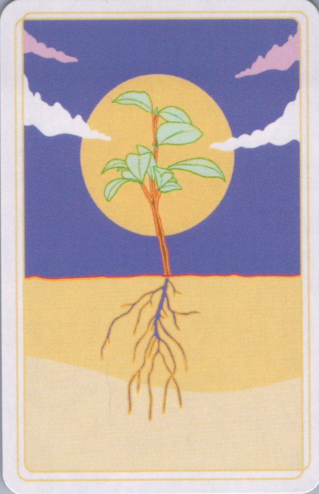 Hope Deck roots
